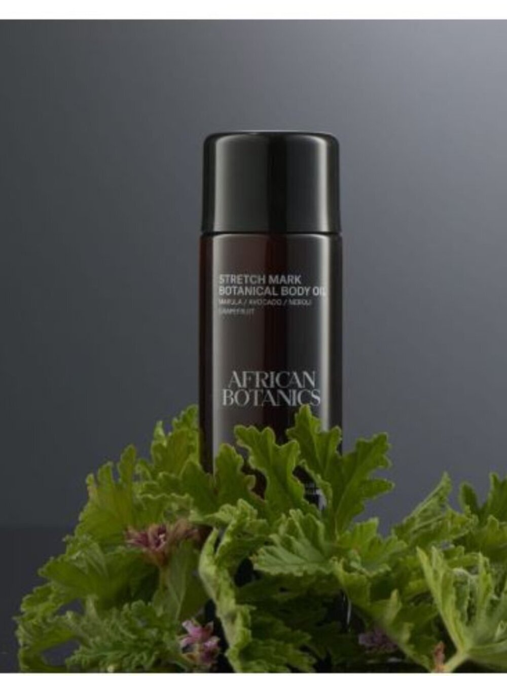 3.4 oz African Botanics Stretchmark Botanical Body Oil - Sealed